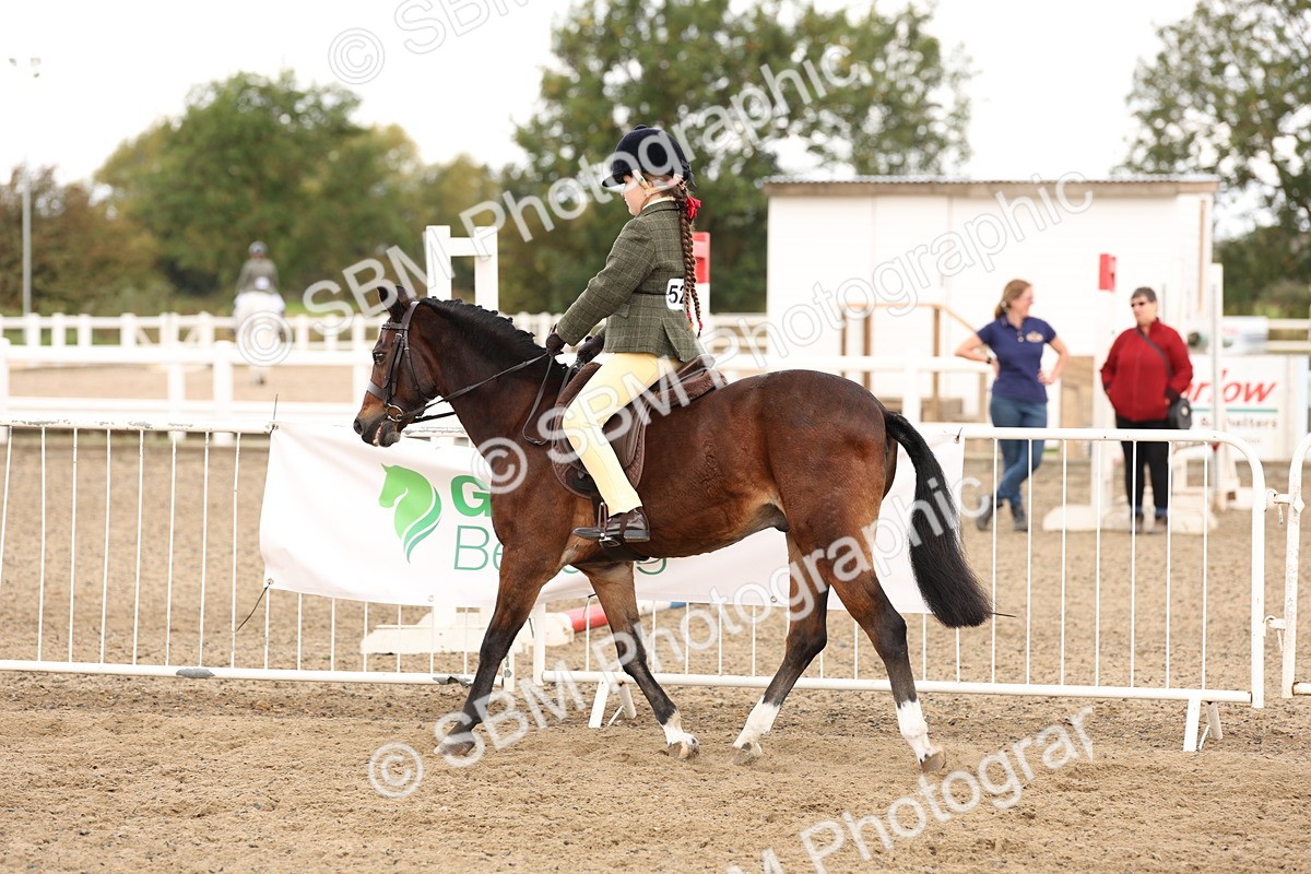 SBM_02893 - Class 53 - Ridden Competition Horse/Pony