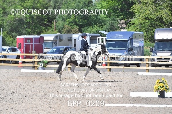 BPP_0209 - SHORT ARENA  MY QUEST PRELIM