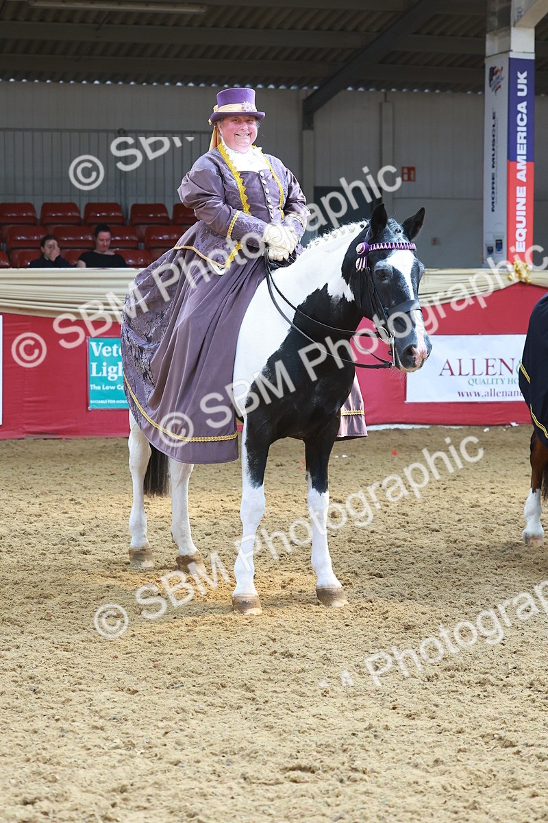 SBM_14826 - Class 108 - Ridden Costume - Astride Adult (20+)