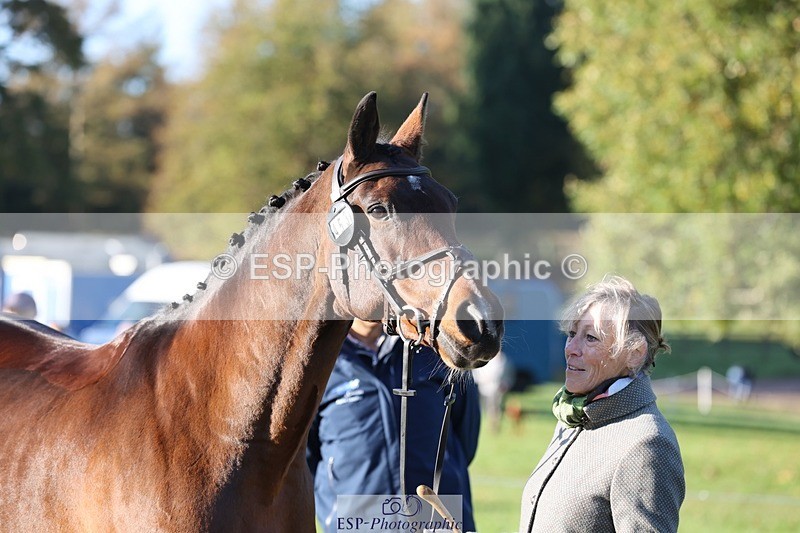 241027-090706-15048 - 453-Caroline.Davies-HAPPY.H