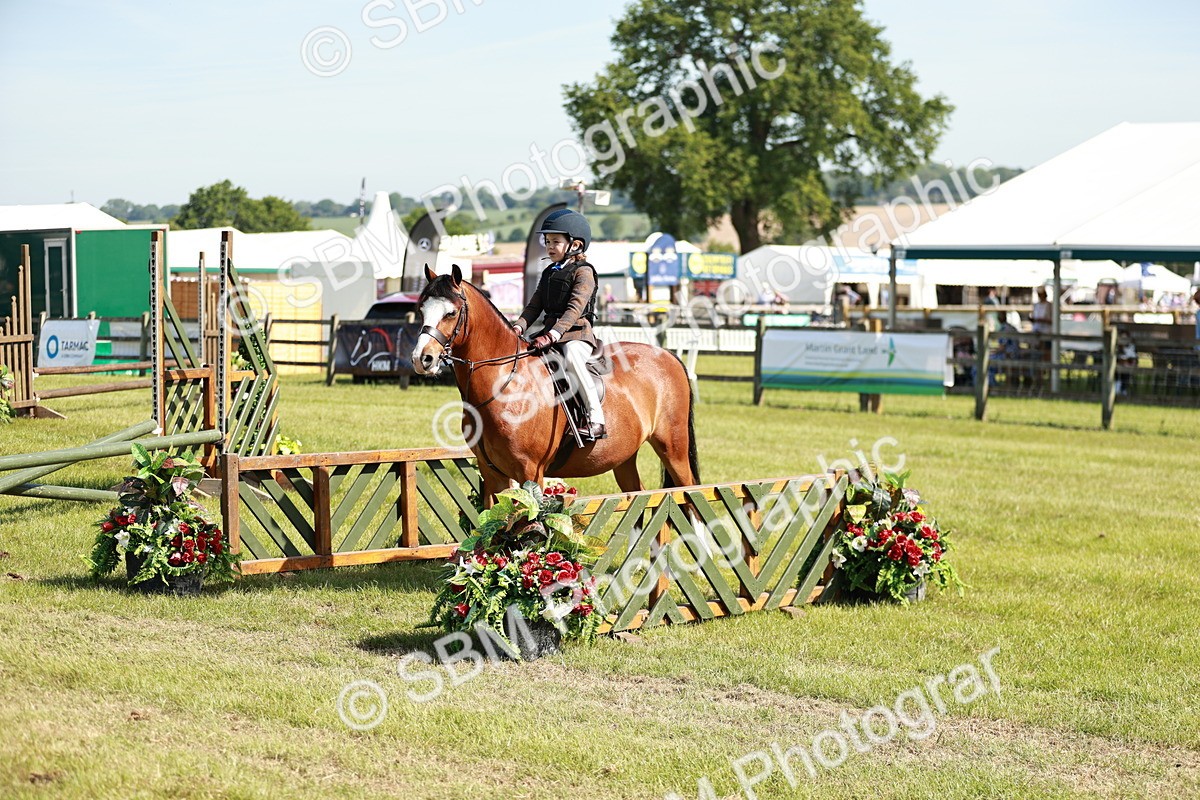 SBM_12733 - Class 106-107 - BSPS LIHS Working Sports Pony