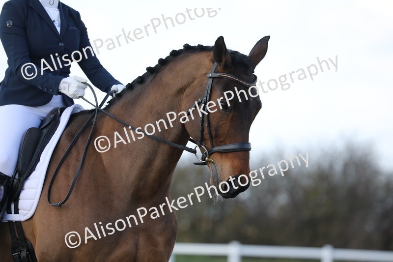 20260314-4932 - CT6 - Elementary 1