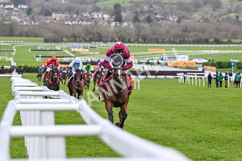 240126-Race 4-Favori De Champdou-6876 - Race 4