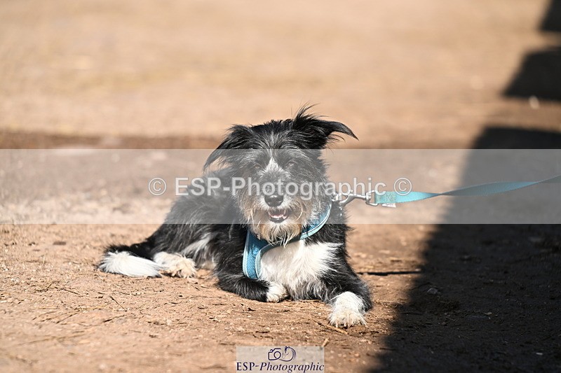 240729B-091548-01754 - Monday Stable Shots