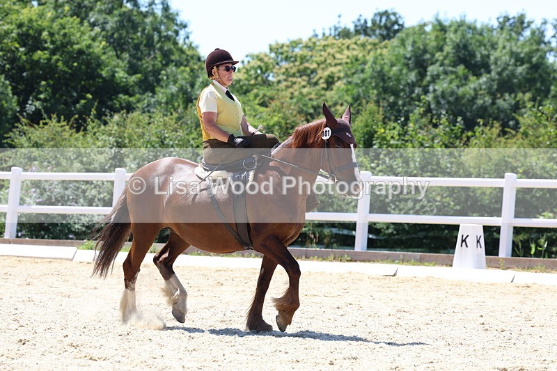 3E7A1713 - Class 5: Unaffiliated Prelim Freestyle to Music