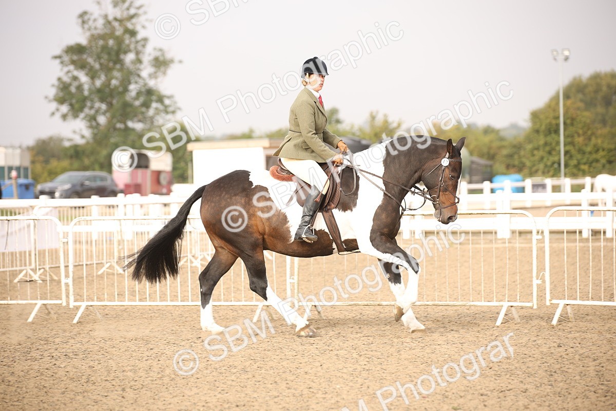 SBM_10213 - Class 402 Riding Club Horse