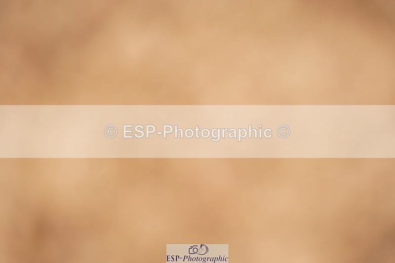 240524A-140758-04223 - Cls 17 National 1.30m