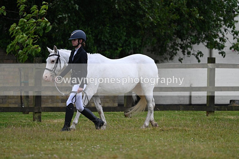 WJ7_5848 - Class 4 Prettiest Mare in Hand