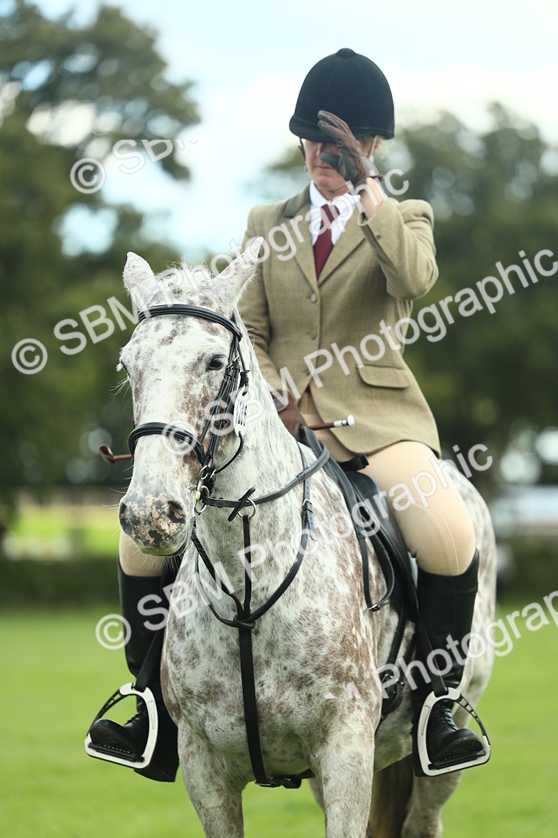 SBM_42164 - S29 - Novice & Newcomers Working Hunter Pony