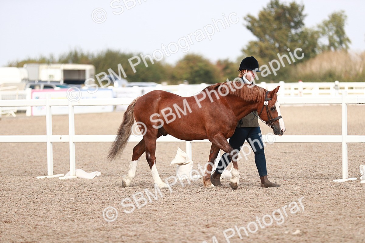 SBM_13817 - Class 209 IH Veteran Pony