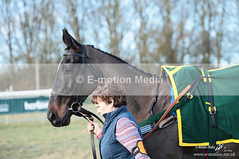 PtP 240126 450 - Cambridgeshire & Enfield Chase PtP Horseheath 24/01/26