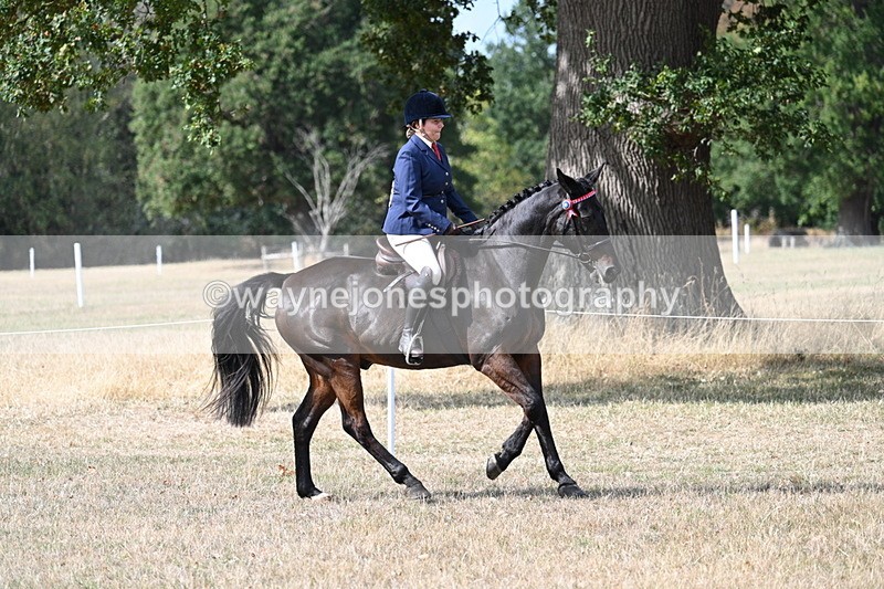 WJ7_6257 - Class 13 Ridden Veterans