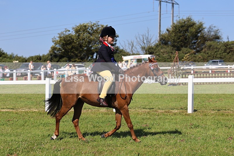 IMG_1838 - Plaited Mini Ridden Championship