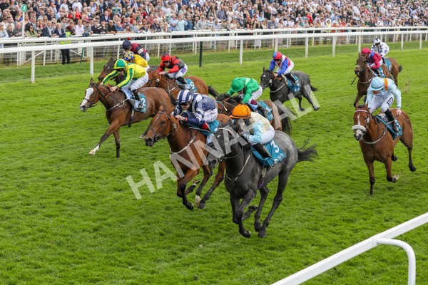 170524-Race 1-Betty Clover-2127 - Race 1 2.15pm Clipper EBF Marygate Fillies' Stakes