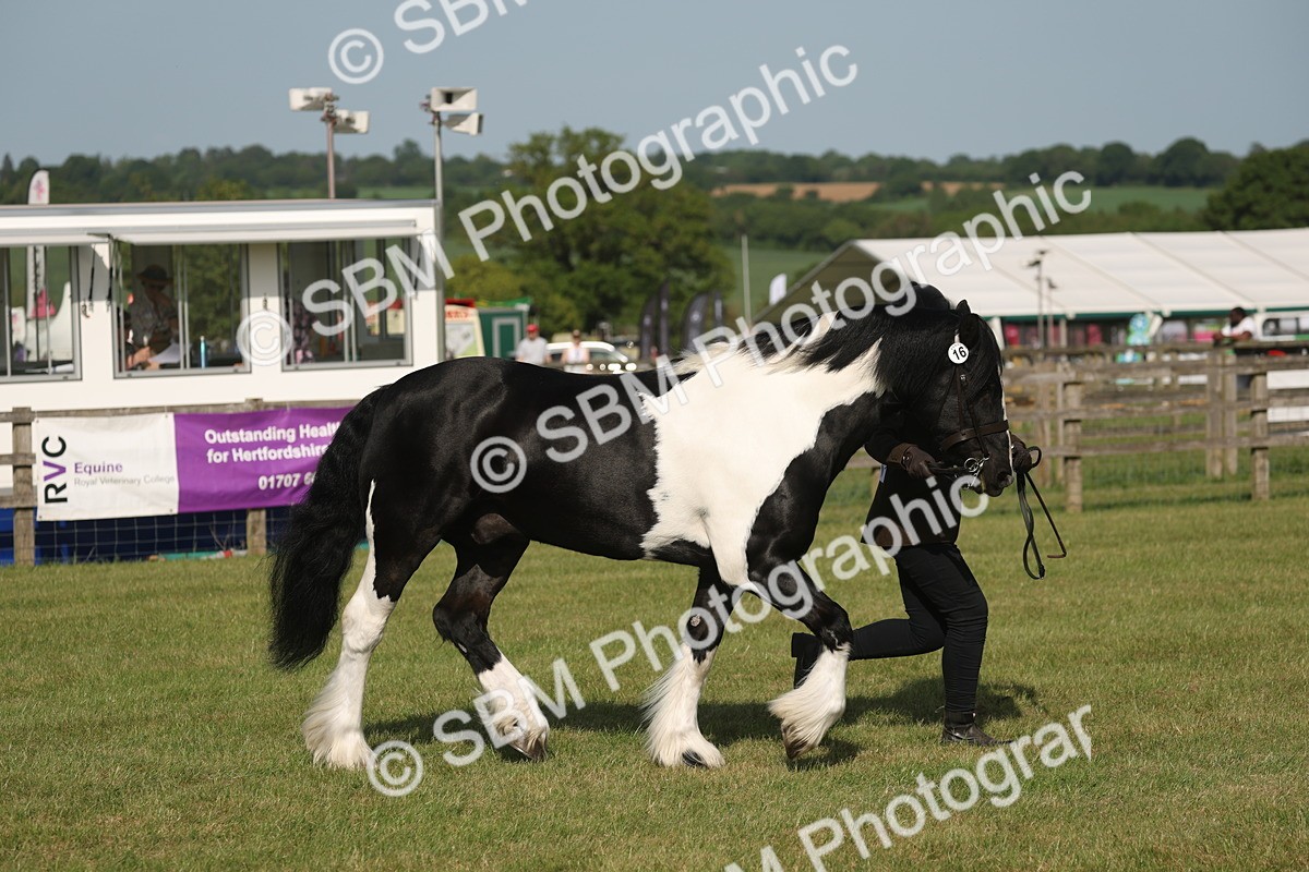 SBM_10371 - Class 33-38 - SSADL RIHS Qualifiers