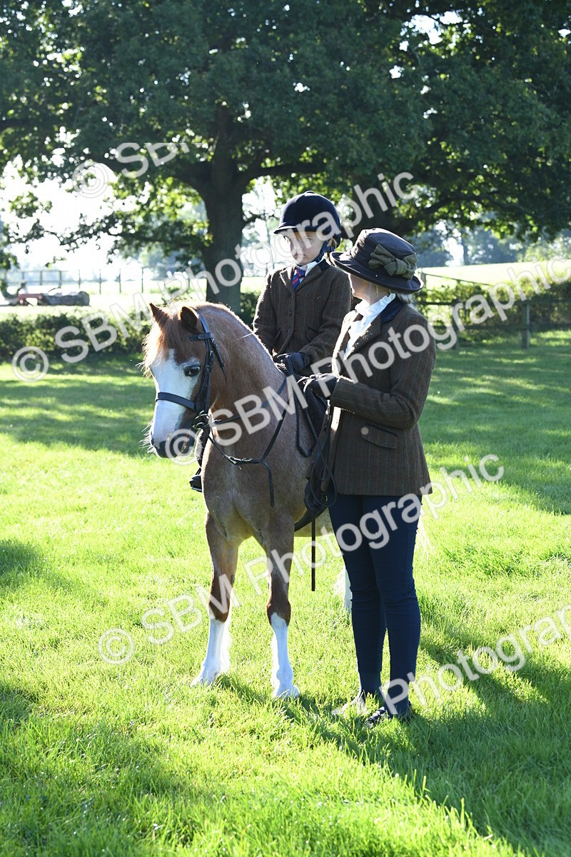 SBM_35417 - S17 - Condition & Turnout - Lead Rein