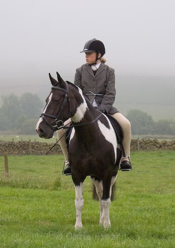 10 - Moniaive Horse Show 2008