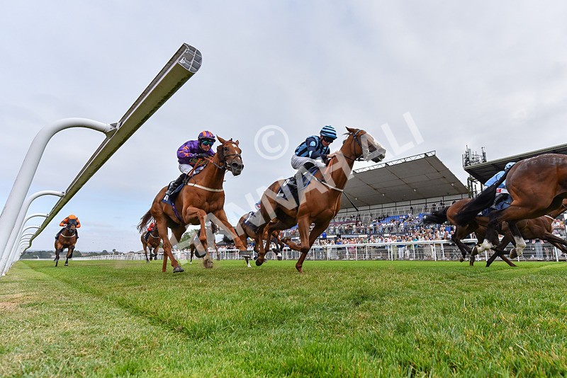 140726-Zivas Star-2998 - Race 5 16.23pm Connexin Gigabit Gallop Handicap