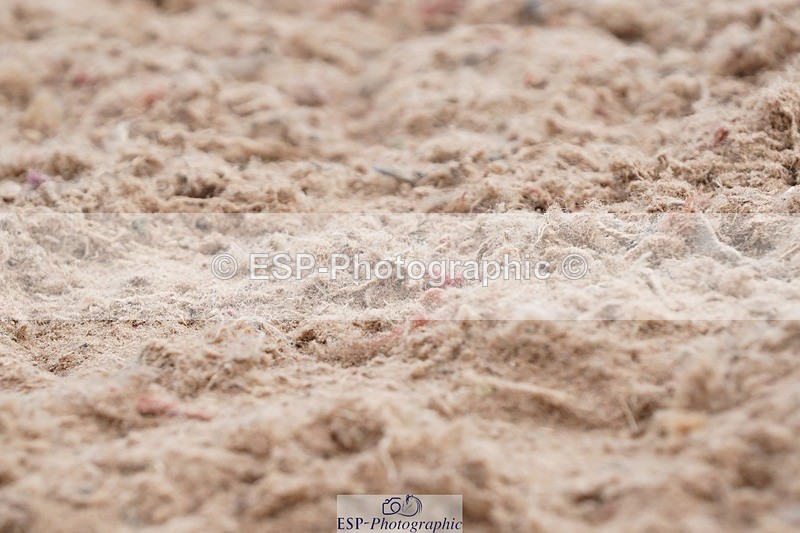 250621-103650-05693 - Quest Cls 7-11, Prelim All