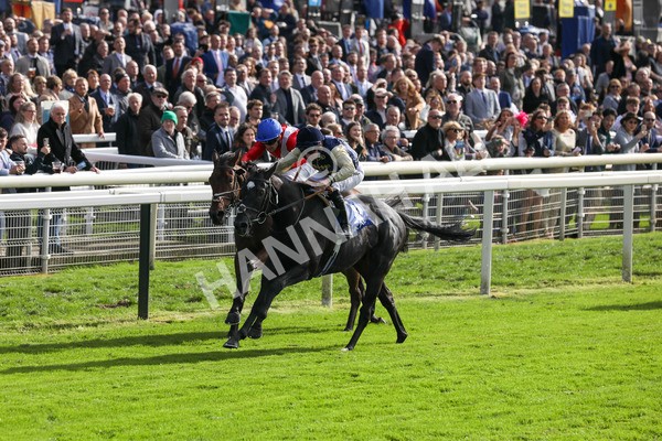 141023-Race 1-Purosangue-0276 - Race 1 1.15pm Coral Rockingham Stakes