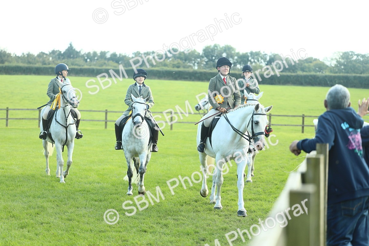 SBM_49960 - S32 - Novice & Newcomers Working Hunter