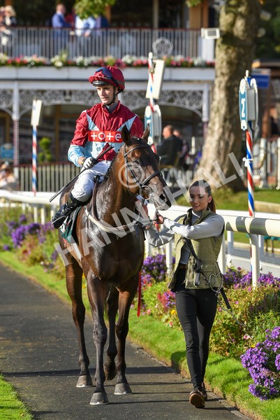 230923-Race 5-Vintage Clarets-6838 - Race 5 4.20pm Vickers.Bet Handicap