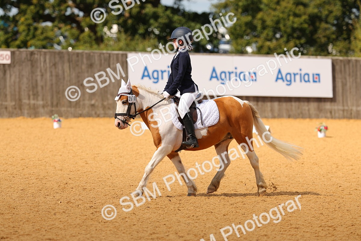 SBM_44113 - D22 - Junior Championship - Intro B
