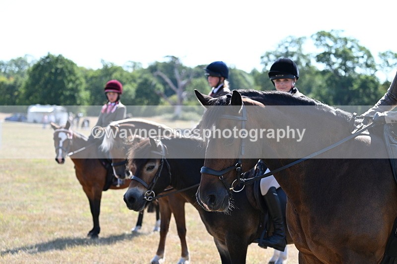 WJ7_3790 - Class 9 Mountain & Moorland Ridden