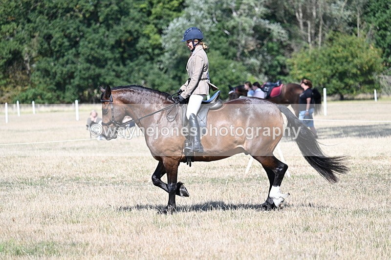 WJ7_3917 - Class 9 Mountain & Moorland Ridden