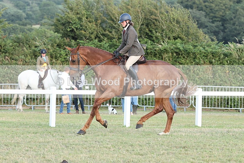 JPP_3722 - Class 24: Open Working Hunter