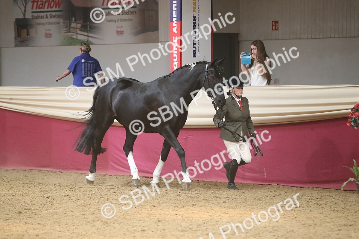 SBM_05517 - Class 9R - Regional IH Pre-Vet