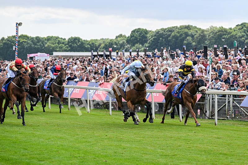 250726-Race 2-Stratusnine-6885 - Race 2 14.00pm Sky Bet Dash