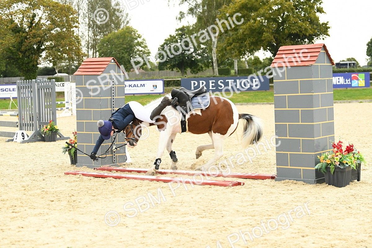 SBM_73195 - J16 - Junior Pony 75cm Championship