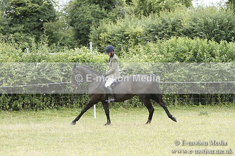 BVR160717-994 - Ring 3 BVRC Show 16/07/17