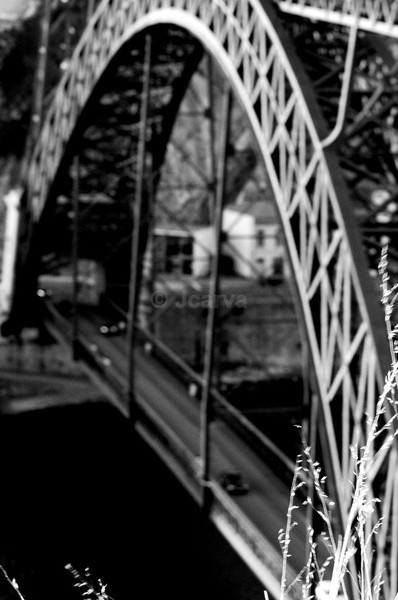 D. Luis I weeds - Porto