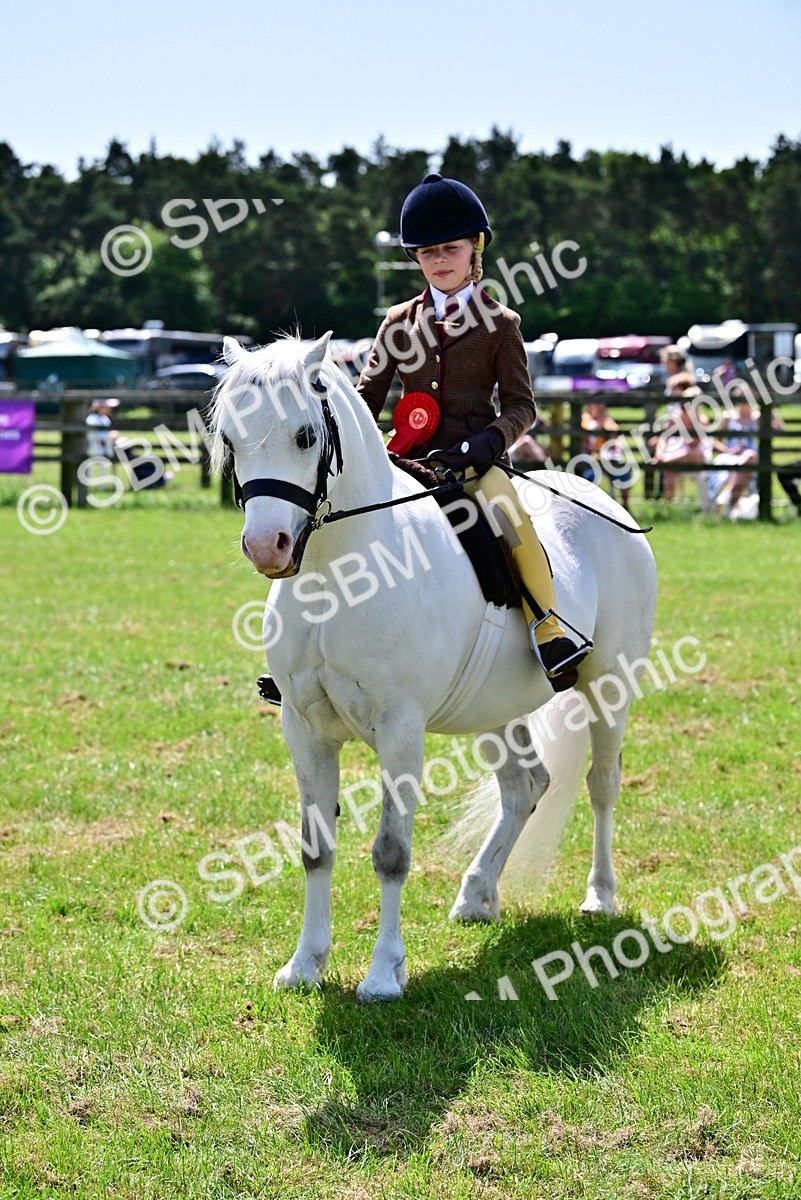 SBM_06121 - Class 59-60 - TSR M&M  Lear Rein and First Ridden Amateur of the year