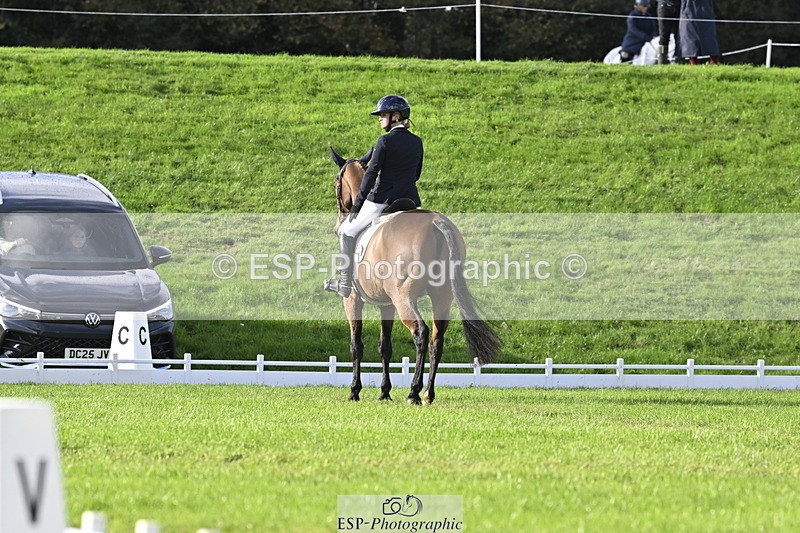 251023A-151054-04541 - E-386-Zara.Head