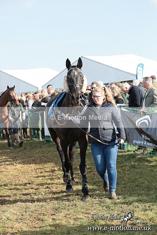 PtP 010325 391 - Beaufort Races Didmarton 01/03/25