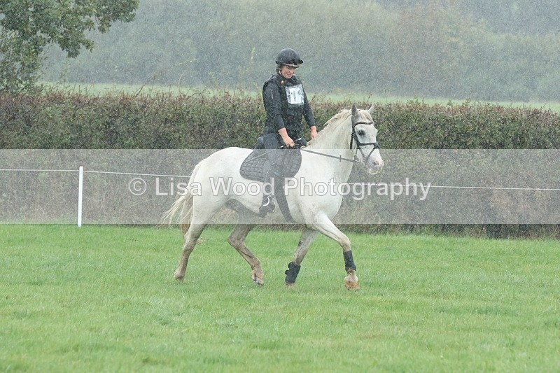 JPP_5091 - Class 1: 65cm : Showjumping