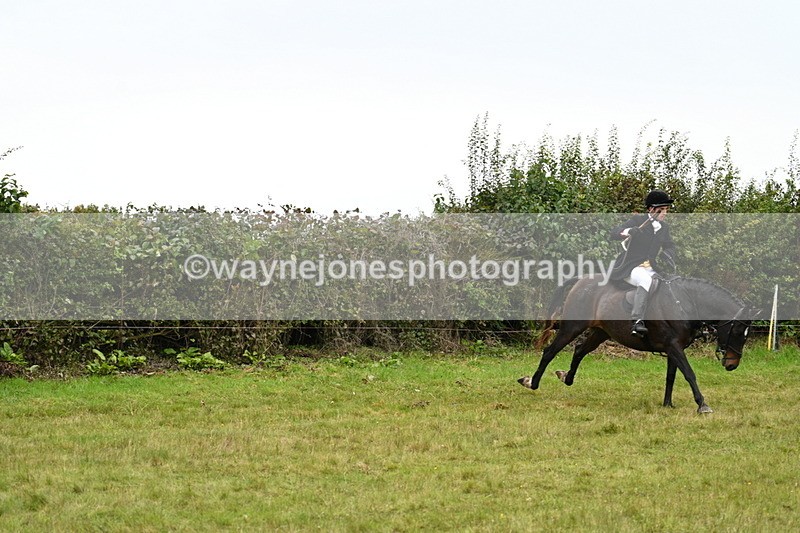 WJ7_4128 - Camera 1 Line 2