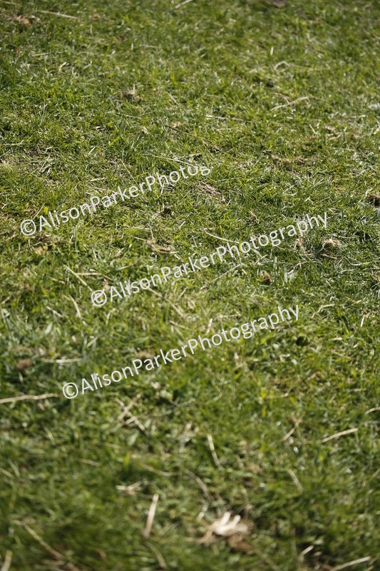 20250427-4310 - Class 15 - Intermediate 80cm