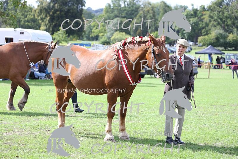 APP_3262 - Class 4 Veterans