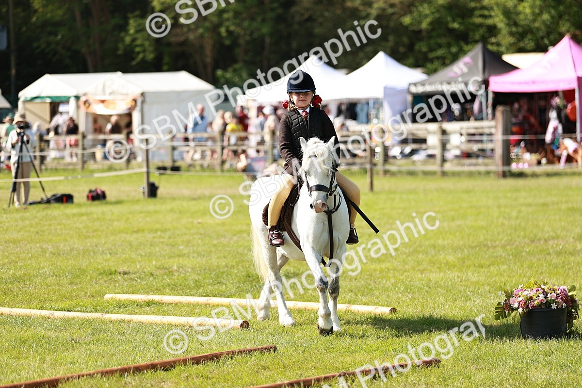 SBM_12621 - Class 106-107 - BSPS LIHS Working Sports Pony