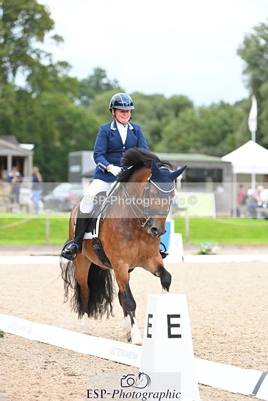 230813-142717-07761 - Cls 13 Medium Bronze 13.15 to End