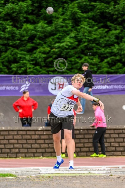 Sen25SAT-921462 - Field Male Set Two