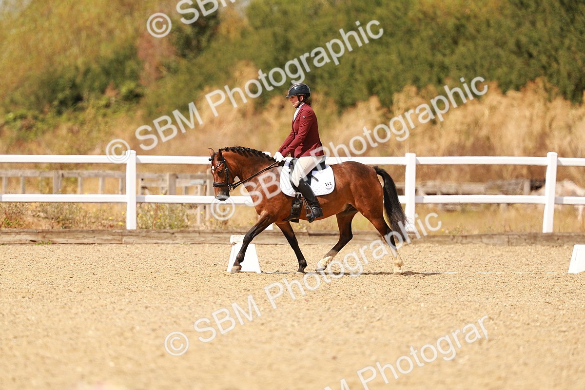 SBM_018634 - Class 9 - N5 Bronze 11.57.13.07
