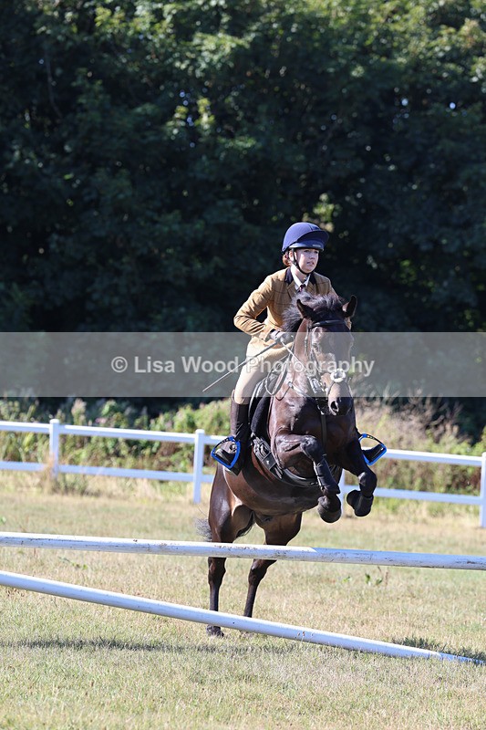 3E7A5474 - Class 3: Working Hunter 70cm