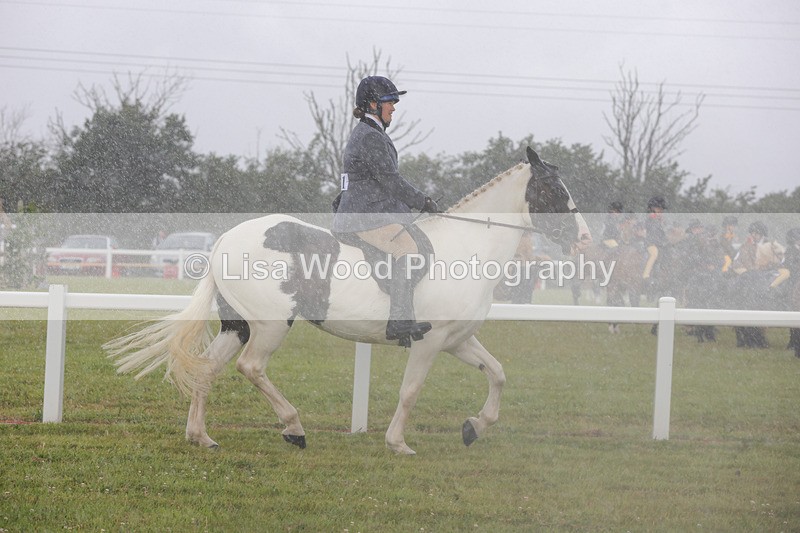 1X9A2979 - Class 26: Ridden Plaited Coloured Pony