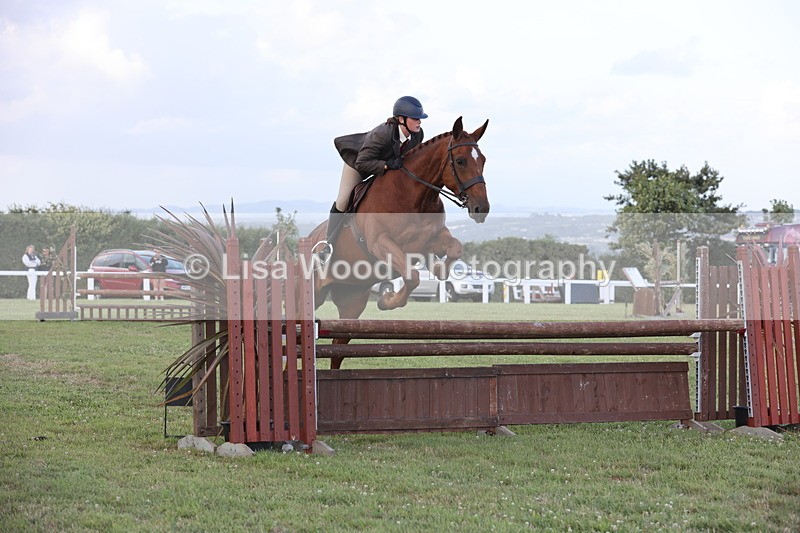 JPP_3659 - Class 24: Open Working Hunter