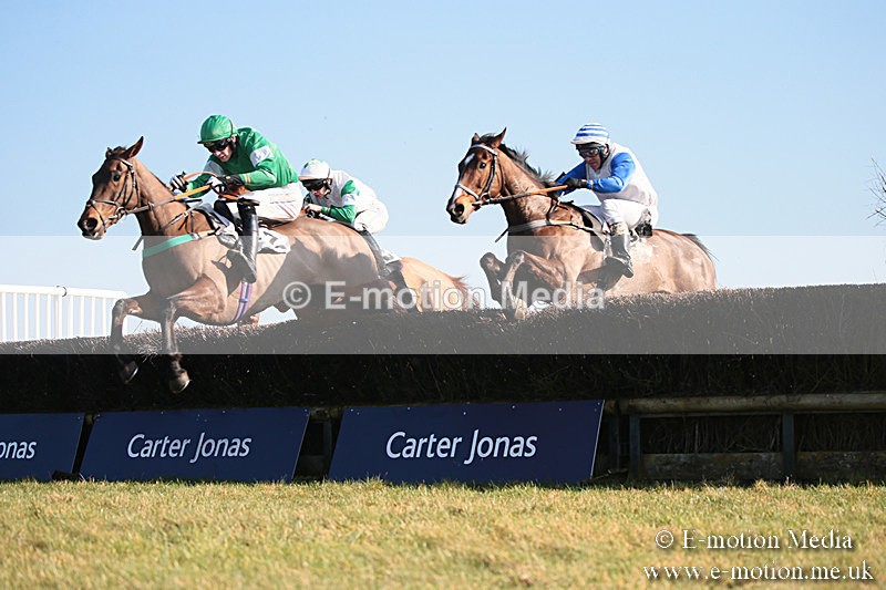PtP 230219 348 - Vine & Craven Point-To-Point - Barbury 23/02/19